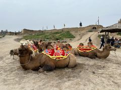 -镇北堡西部影城