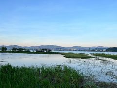 -洱海月湿地公园