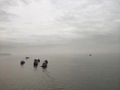 -演武大桥观景平台