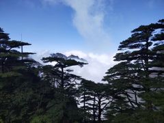-黄山风景区
