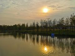 -上海长兴岛郊野公园