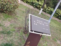 -莲湖公园
