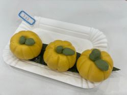 -中法母婴月子中心(南湖创始店)