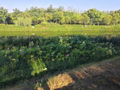 -西安汉城湖景区