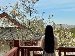 -堤角公园