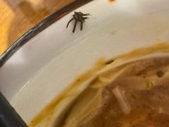 -前门杨记·铜锅涮肉(王府井·故宫店)