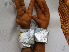 金鸣王·大凤爪-苏小柳点心·手作小笼包(新街口分院店)