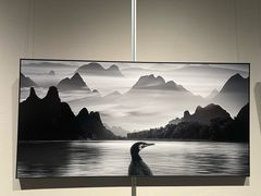 -浙江美术馆
