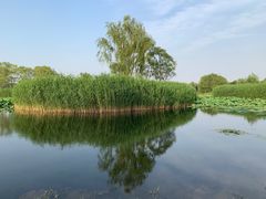 -大兴滨河森林公园