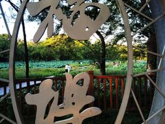 -西溪国家湿地公园