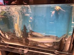 -味家烤肉烤鳗鱼牛排(西塔旗舰店)