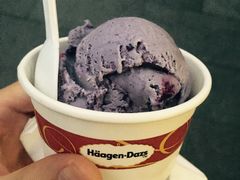 -哈根达斯(武汉天地店)