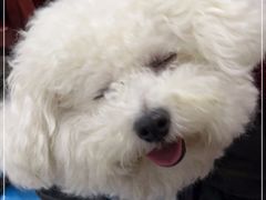 -老丘丘(较场口店)