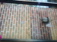 -丹香(乳山利群店)