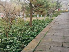 -上海方塔园