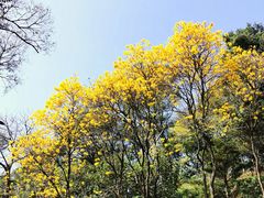 -广州市白云山风景名胜区