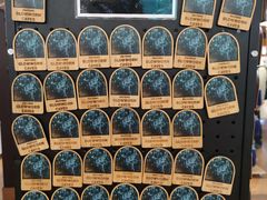 -怀托摩萤火虫洞