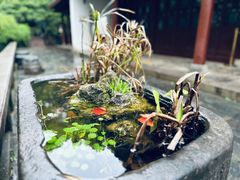 -岳麓书院