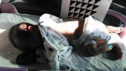 -生命加•Q考拉月子会所(玫瑰园店)