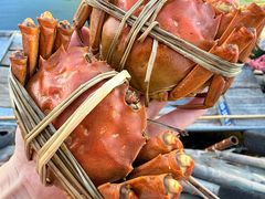 -蟹村草堂·苏式园林人文农家·大闸蟹