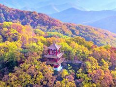 -天女山森林公园