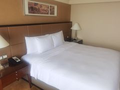 -上海波特曼丽思卡尔顿酒店