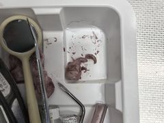 -上海市徐汇区口腔医院