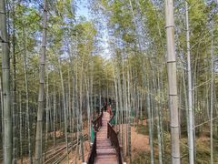 -陶祖圣境风景区
