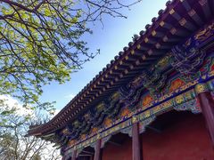 -护国法轮寺