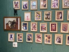 -严国平动物医院(德政总院)