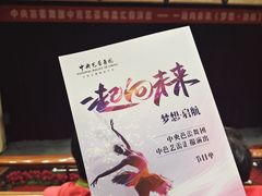 -中央芭蕾舞团·中芭艺蕾(酒仙桥明星校区)
