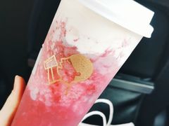 多肉杨梅-喜茶(北京五棵松华熙店)