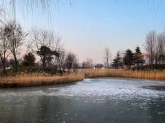 -安德鲁户外烧烤帐篷营地(马泉营店)