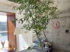 -不正咖啡(万达尊店)