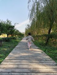 点击看大图 -前小桔亲子创意农场·草莓采摘·露营烧烤