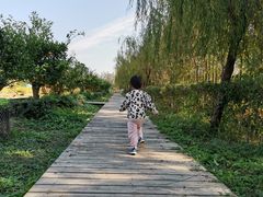 -前小桔亲子创意农场·草莓采摘·露营烧烤