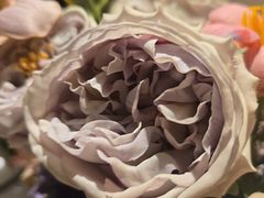 -PARFUM FLORAL花境法餐(南京首店)