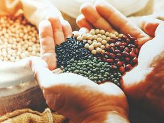 -鲜芋仙(苏州干将店)