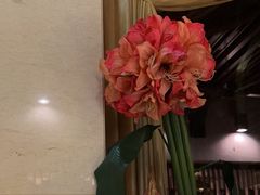 -金厨泰国餐厅·全泰籍厨师料理(拱北店)