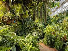 -国家植物园南园