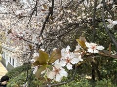 -南京市江宁方山