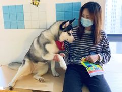 -Husky Go! 哈士奇体验馆·宠物咖啡厅狗咖