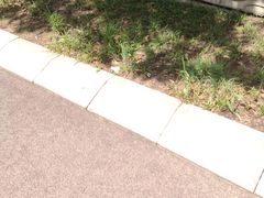 -济南国际园博园