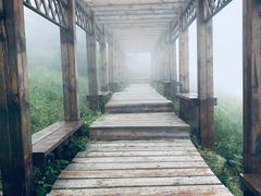 -白草畔自然风景区