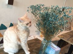 -小时光咖啡馆(北锣鼓巷店)