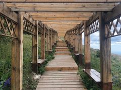 -白草畔自然风景区