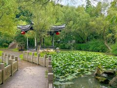 -南山风景名胜区