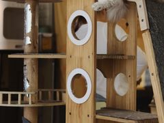 -平行世界·猫咖(首经贸店)