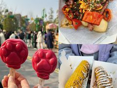 -上海迪士尼度假区