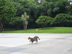 -晓港公园